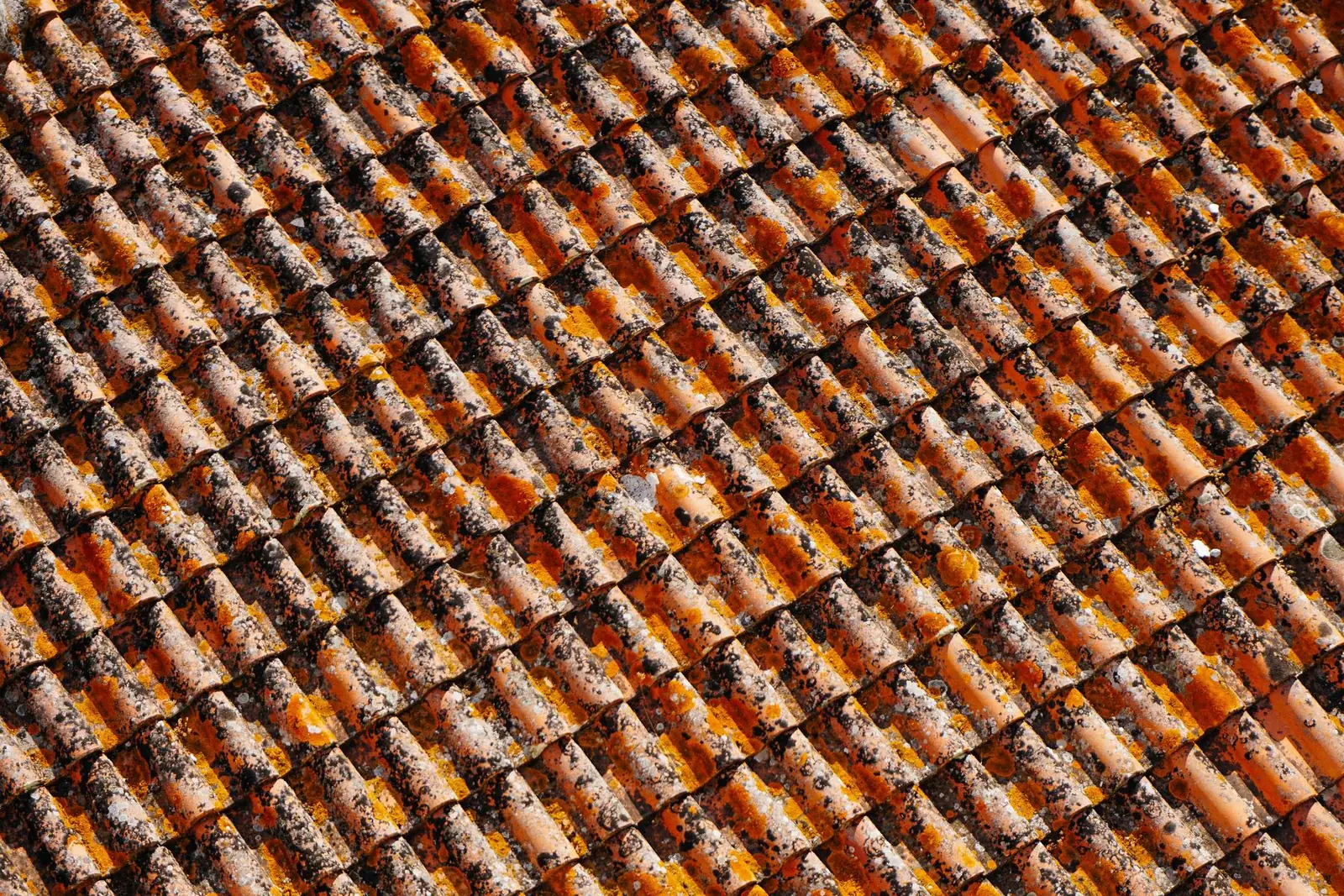 Roof by Final Touch Roofing